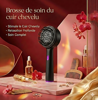 HAIRIVY™ Brosse de Massage Capillaire Intelligente